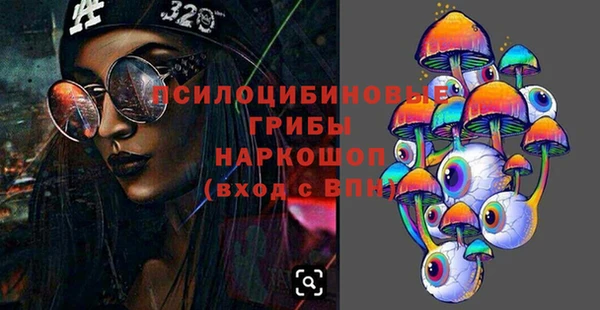 mix Богородицк